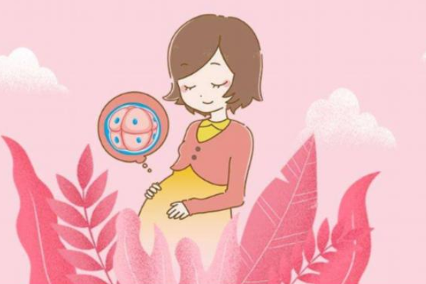 泰國試管嬰兒費(fèi)用是多少？泰國試管嬰兒成功率高嗎？